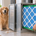 Best 24x25x5 Air Filters for Pet Hair and Dander in Day and Night Systems