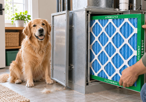Best 24x25x5 Air Filters for Pet Hair and Dander in Day and Night Systems