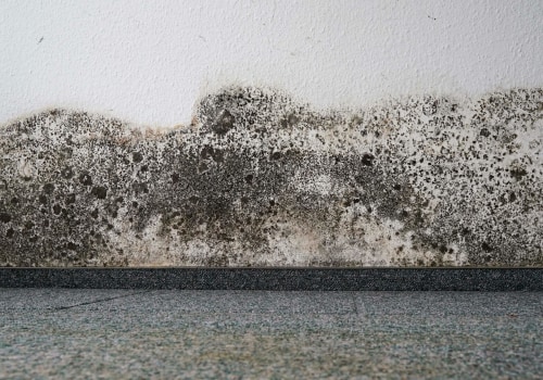 What is the Best Air Filter for Mold? A Comprehensive Guide